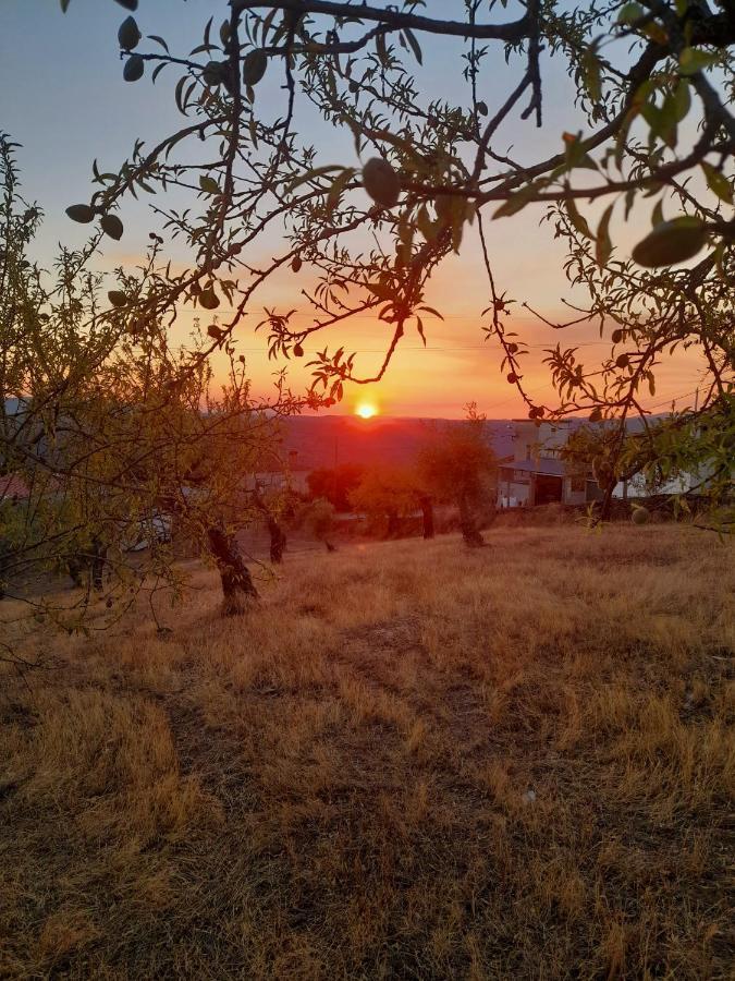 Casinha Da Colina Vila Alfândega da Fé Exterior foto